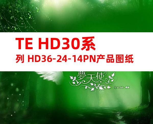 TE HD30系列 HD36-24-14PN产品图纸